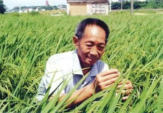 一日三餐，米香彌漫，飽食者當(dāng)憶袁公！
