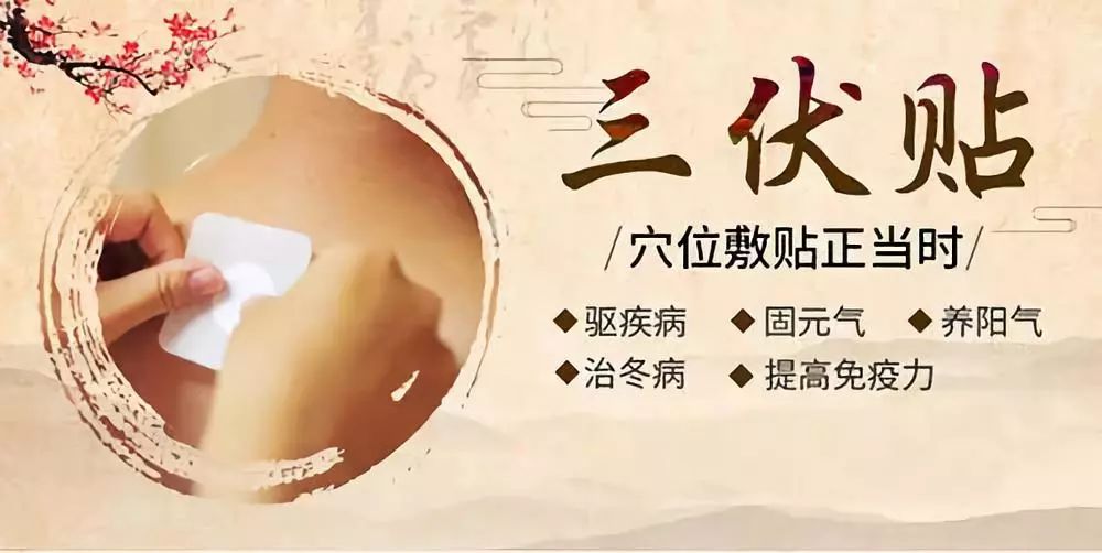 關(guān)于三伏貼，你了解多少呢？